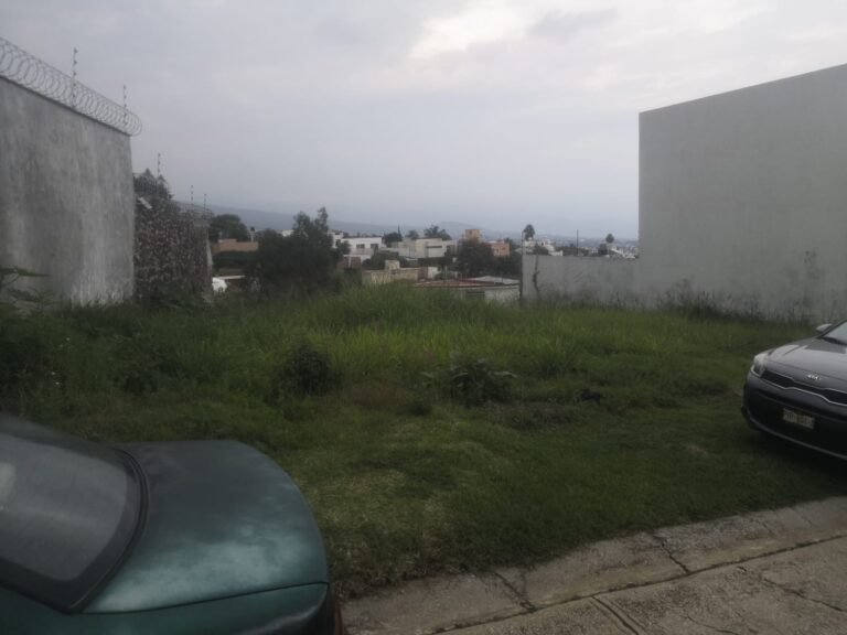 whatsapp image 2025 10 01 at 10.34.20 am (1)