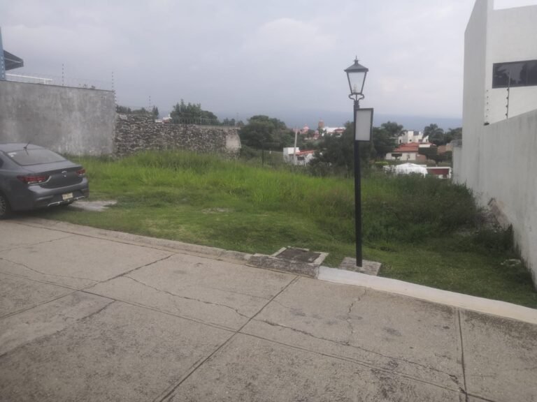 whatsapp image 2025 10 01 at 10.34.20 am